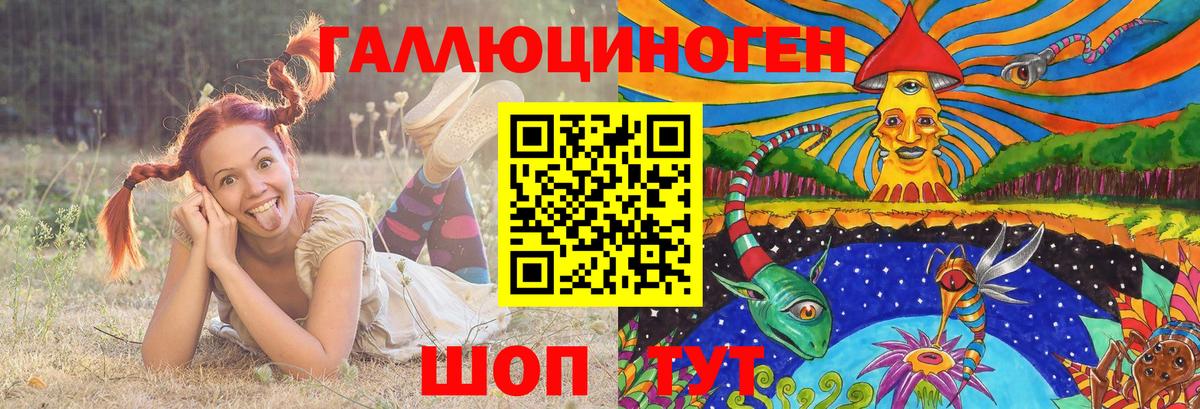 Галлюциногенные грибы MAGIC MUSHROOMS  купить  цена  Карасук  Вход с VPN 